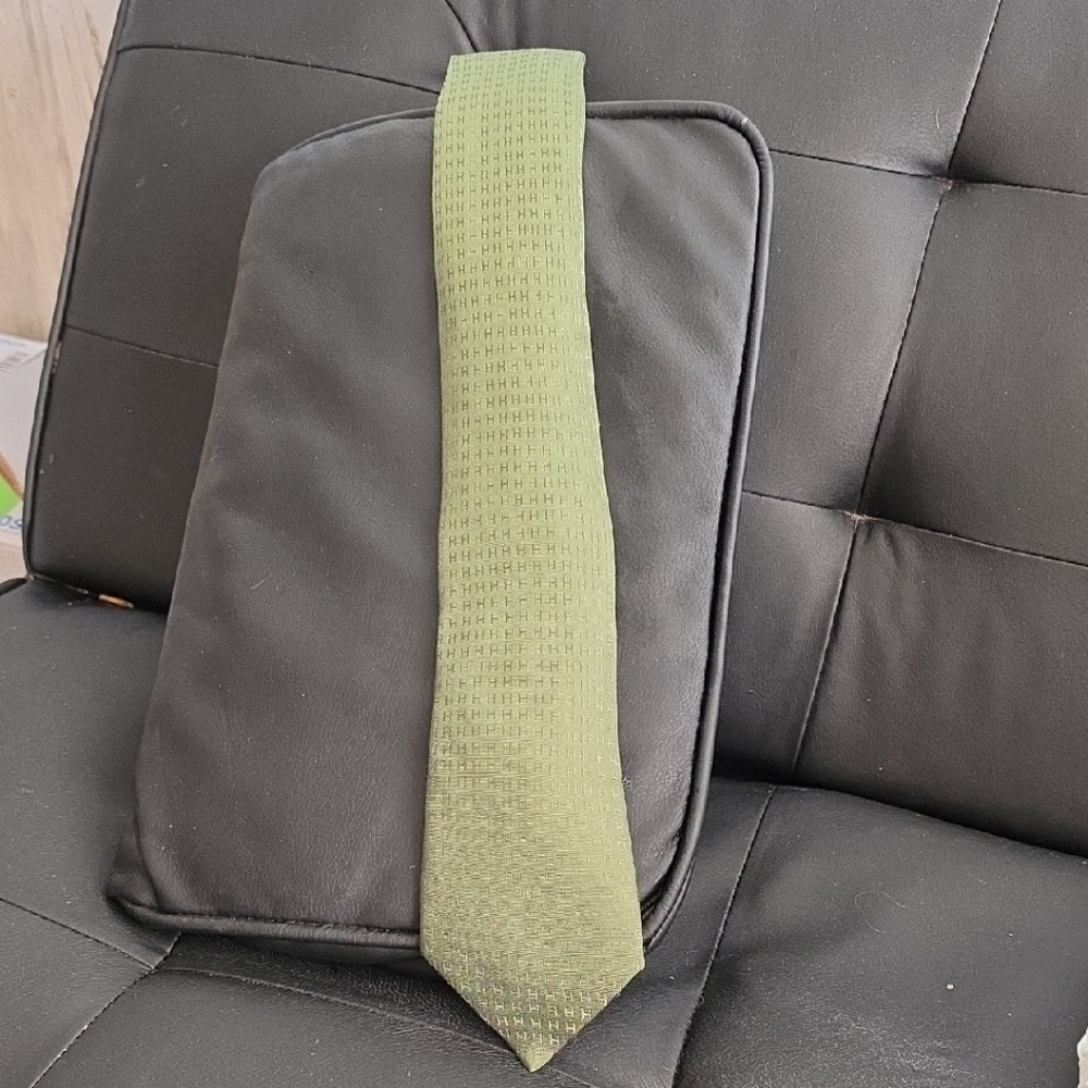 Authentix Hermes - Paris Olive Green Textured Men's Tie
